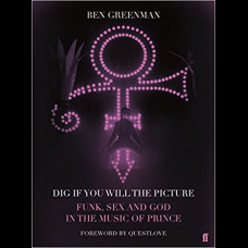 Dig If You Will The Picture : Funk, Sex and God in the Music of Prince