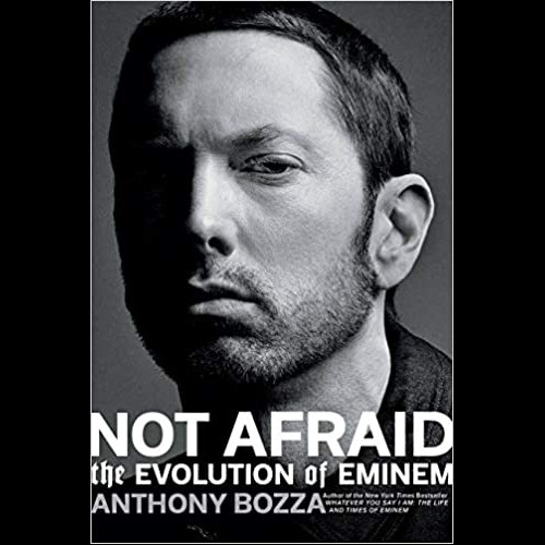Not Afraid : The Evolution of Eminem