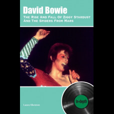 David Bowie The Rise And Fall Of Ziggy Stardust And The Spiders From Mars: In-depth